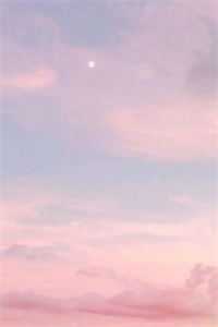 我寄人间雪满头无删减版