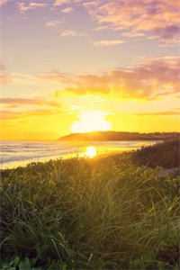 化身索命死神，欺负我女儿都得死的小说