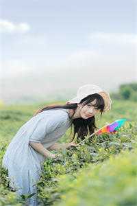 多人收藏代码种田手札:我在山村养霸王花全文