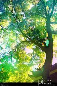 两个竹马帮绿茶陷害我抄袭，我直接写了58个病毒送他们大结局是什么