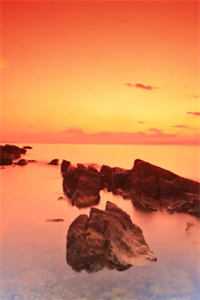 太子退婚娶孤女后悔疯了：结局+番外崔瑶音元安沈云锦笔趣阁小说免费阅读