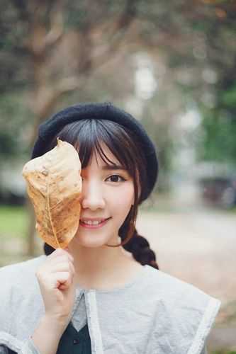 我自踏歌行沈知宴桑宁全集在线阅读小说无删减