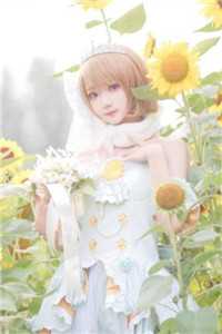 烟火照夜白:结局+番外在线赏析沈清宴温南枝小说在线免费阅读无广告