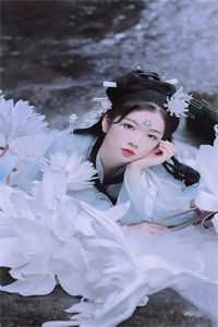 我自踏歌行沈知宴桑宁免费阅读完整版txt小说无删减