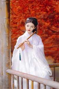 前夫再婚后，我被他追妻火葬场了顾铭聿白声声小说在线免费阅读无广告