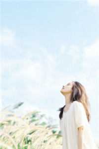 位居省委，开局被妻子举报苏玉黎锦最新章节在线阅读全本在线阅读