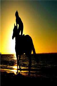 霸总别追了，夫人只想拿钱独美苏雨眠江易淮小说在线免费阅读无广告弹窗