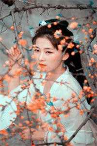 人在天玄，开局带着妹妹去退婚秦江萧凡全集免费在线阅读下载