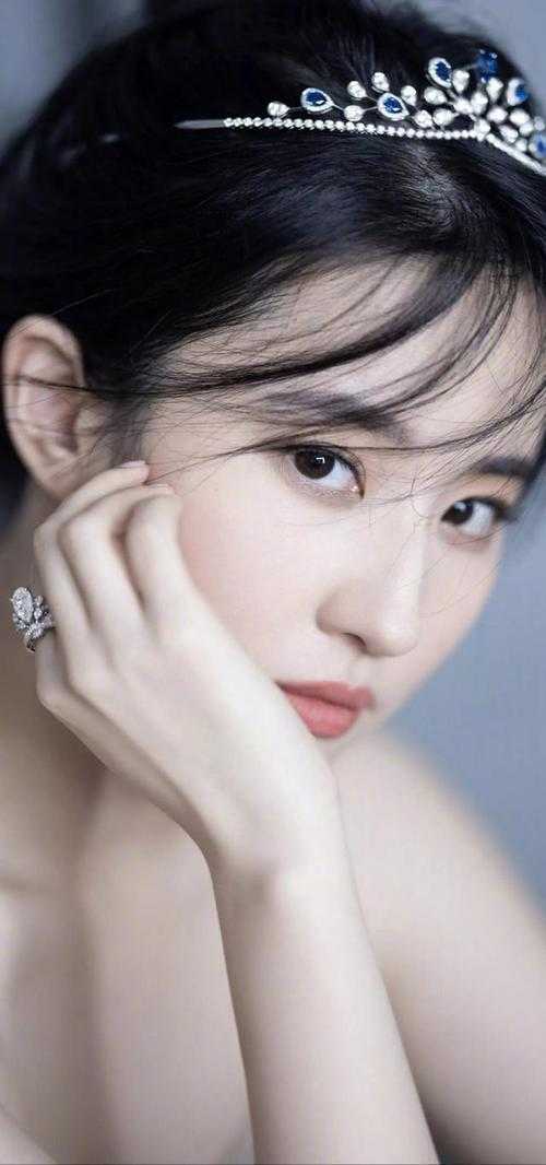 偏心假千金，为何又来求我回家林浅陆沉最新章节阅读全章节免费在线阅读