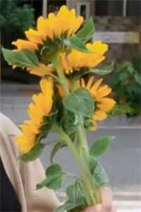 人在天玄，开局带着妹妹去退婚秦江萧凡最新章节列表笔趣阁