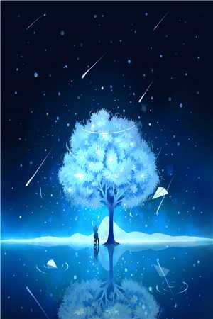 转嫁京圈大佬后，前任悔不当初苏婉禾司北琛免费小说免费完本小说在线阅读