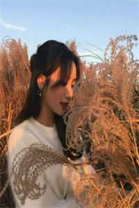 继承机修店后，我徒手打造乱世机甲苏白苏南天最新章节在线阅读有声小说