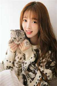 桃花依然笑春风云梵音陆乘渊小说免费在线阅读无删减正版