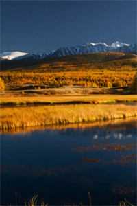 山遥路茫茫：结局+番外必读免费完整版免费阅读有声小说