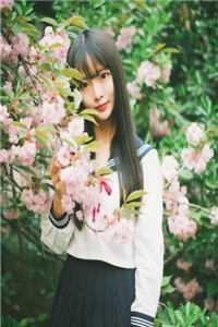 太极门赘婿叶凡唐若雪在线阅读免费阅读完整版小说