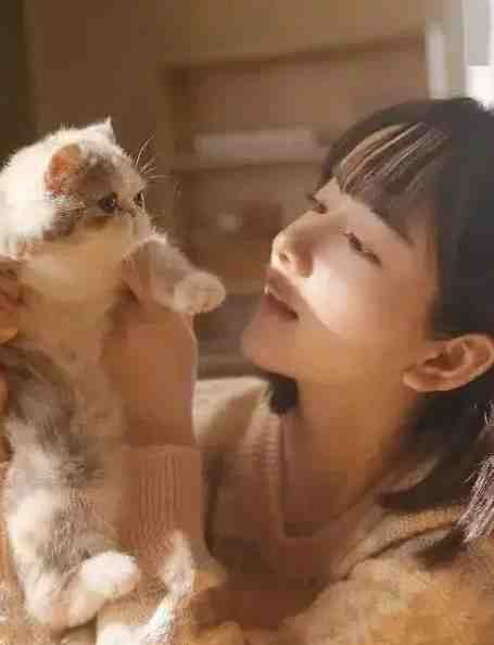 重生:最强天帝回归叶凡苏汐最新章节笔趣阁小说百度云阅读