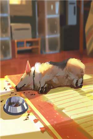 京圈公主抽盲盒选丈夫，我另娶不孕总裁后她发疯求原谅江庭舟傅如霜最新章节免费在线阅读