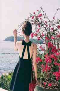 亘古龙神秦君邪苏梦安笔趣阁小说在线免费阅读无广告弹窗