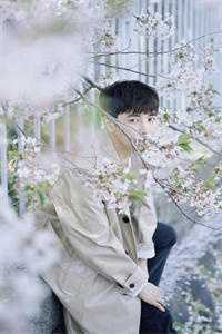 重生：开局收获校花妈妈大师级秘书！陈默苏韵已完结txt小说全本免费在线阅读