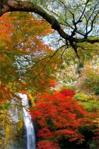 西游：俺老孙誓不成佛孙悟须菩提完整版免费阅读有声小说