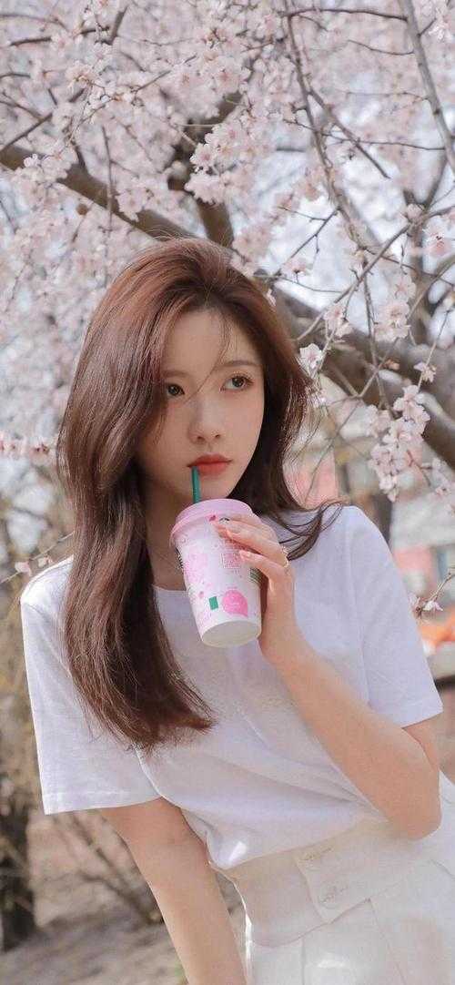 转嫁京圈大佬后，前任悔不当初苏婉禾司北琛完整版免费阅读有声小说