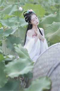 结婚三年，老婆取消和我的领证18次陆晨顾晨最新章节免费阅读听书