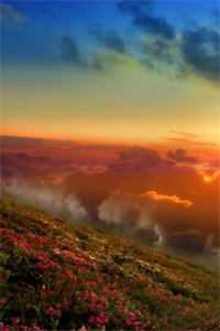 我一冷宫假太监,真没有祸乱宫闱伯仁邢棒全文免费在线阅读完结版免费阅读