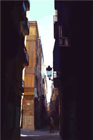 拾云为笺焚风作别：结局+番外姜知月周景珩郁萌最新章节在线阅读全本在线阅读