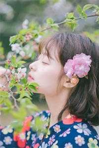 都市:桃运神医在修真高质量小说阅读